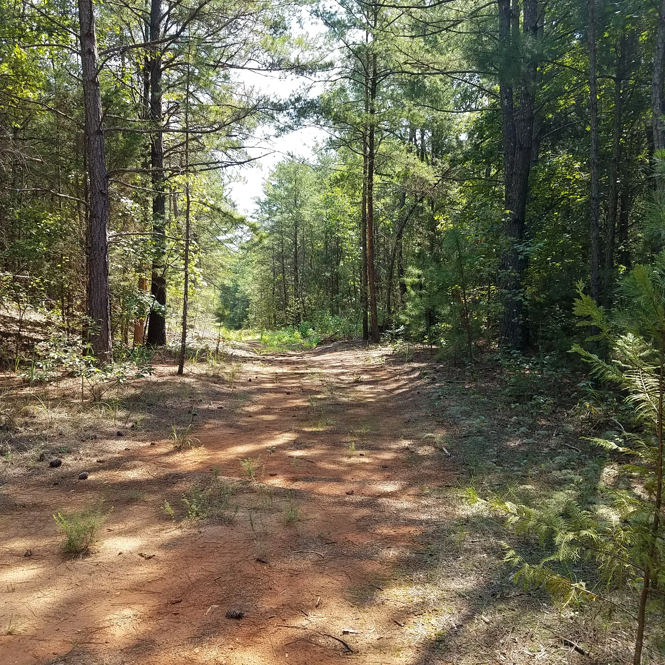 As evident by the lack of footprints, not too many people here leave the beaten path.