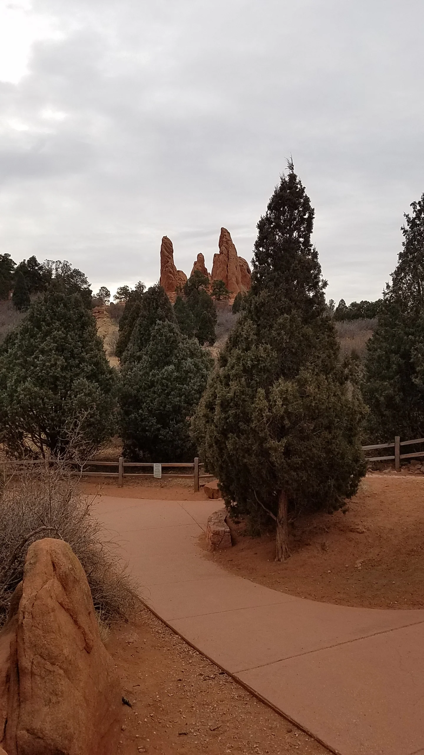 Today's hike was in the Garden of the Gods in Colorado. Yes, it should be snow-covered. Instead, the weather was wonderful.