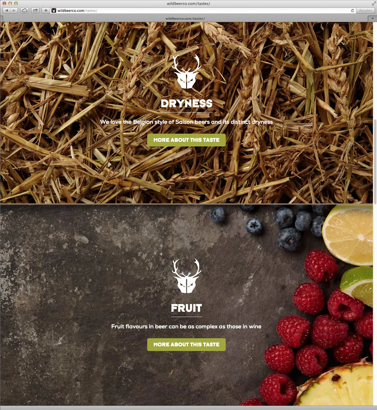 Wild Beer Co