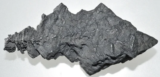 256c.jpg
