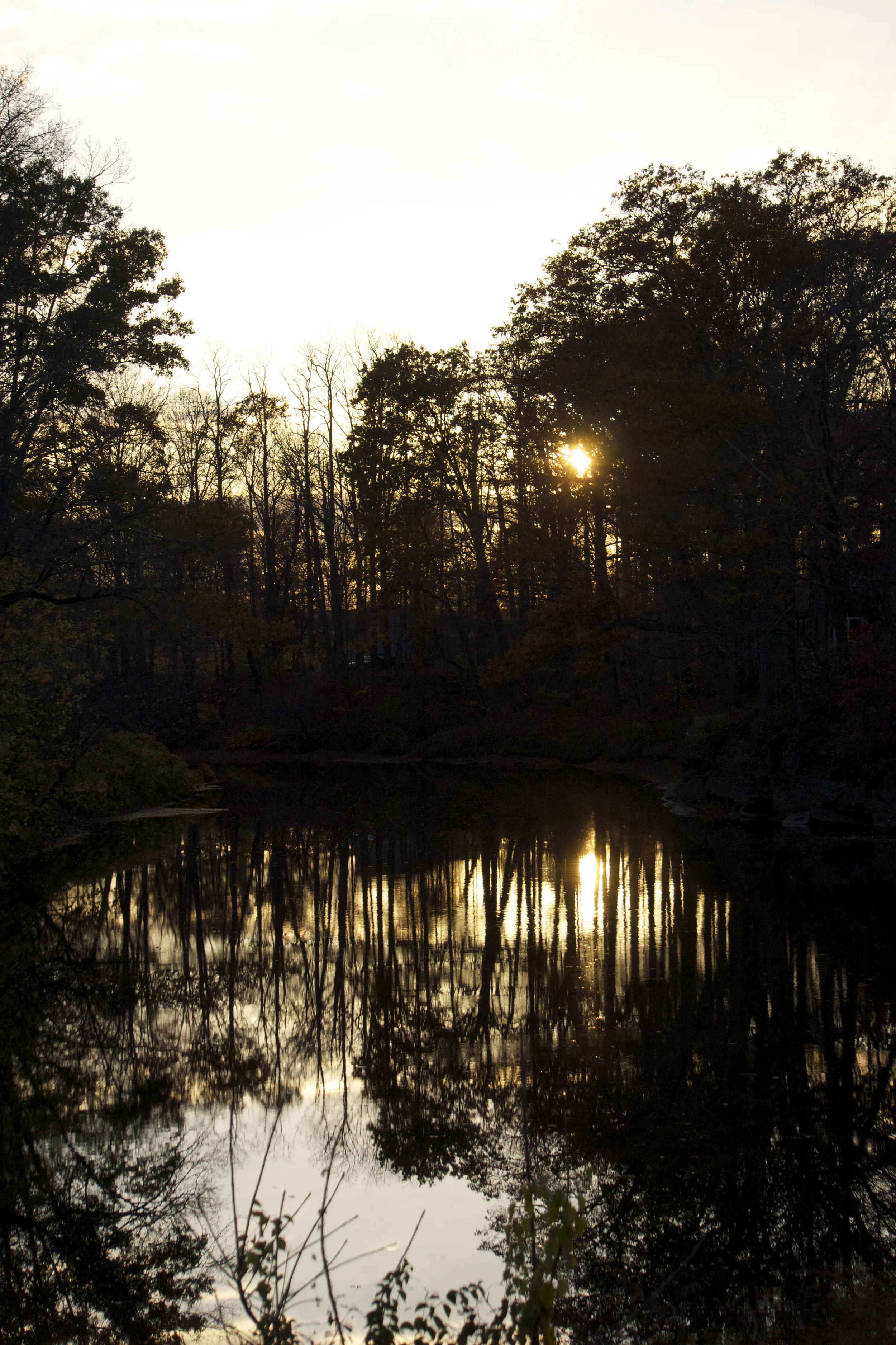 DSC07655_2.jpg
