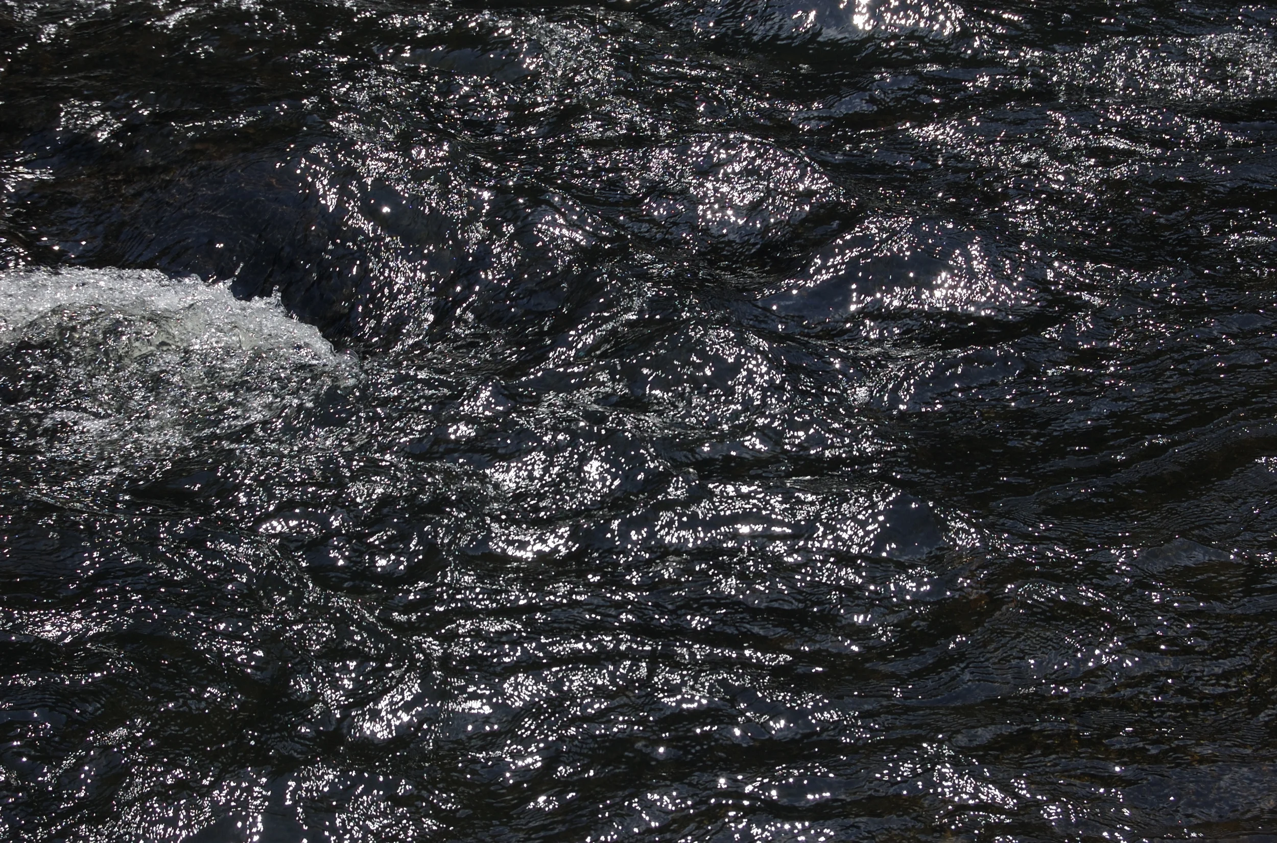 DSC_0251.jpg