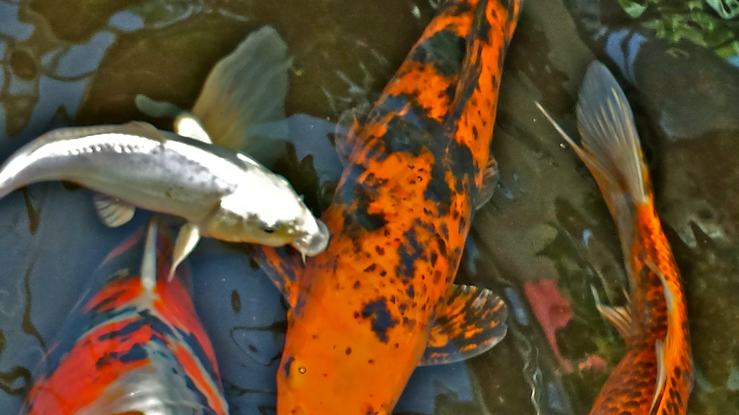 20140622_140219.jpg