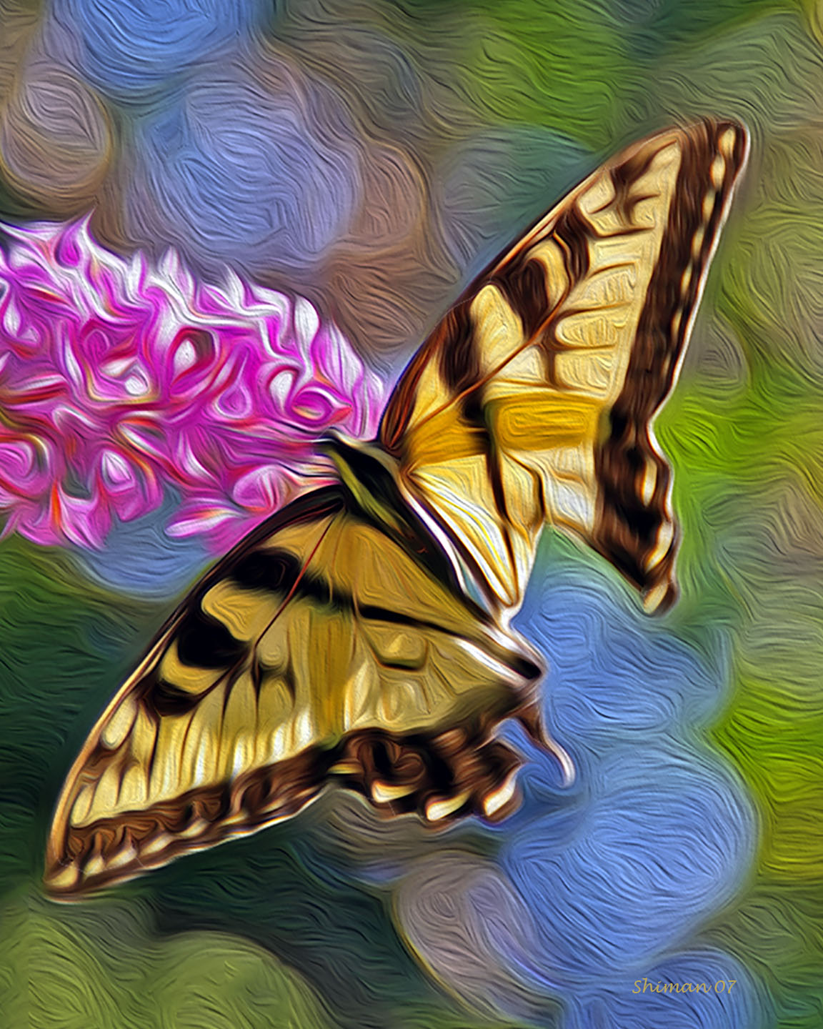 Butterfly