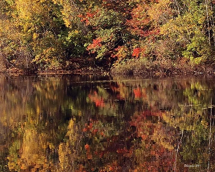Long Pond in Fall