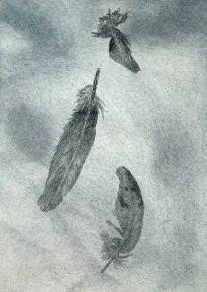 feathers falling.jpg