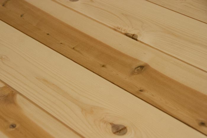 BUCKHORN CEDAR