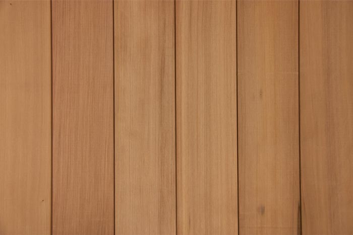 REDISCOVERED REDWOOD
