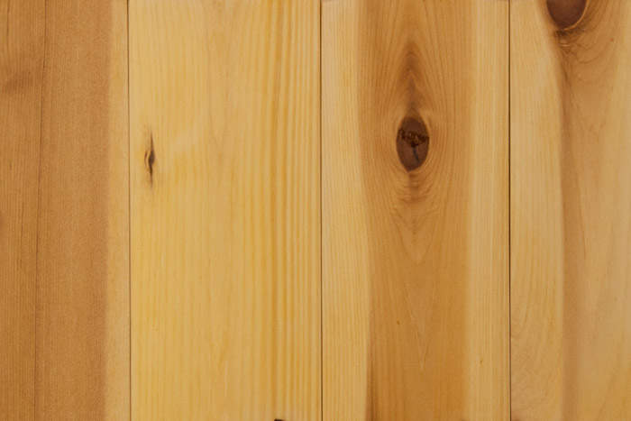 BUCKHORN CEDAR