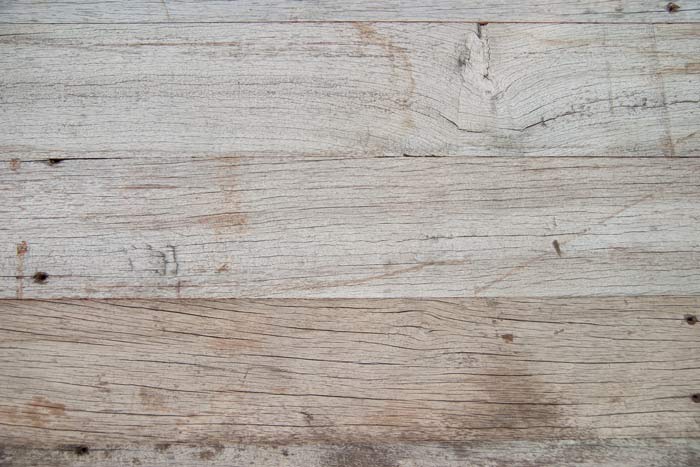 SILVERED DINIZIA