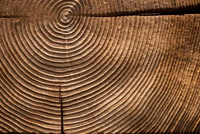 end-grain-wood-detail-m.jpg
