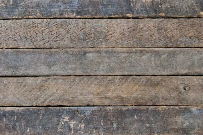 Up close & personal: this wood has a story to tell!