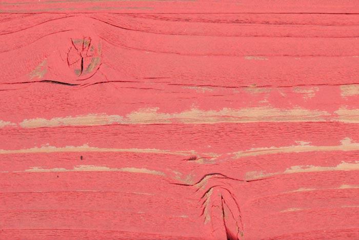 SURFRIDER: TOMATO RED
