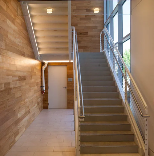 sustainable-wood-wall-paneling-m.jpg