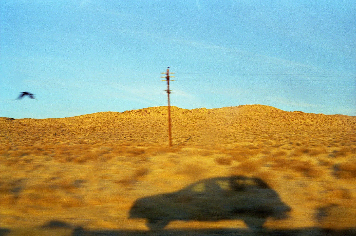 15 car shadowsized.jpg