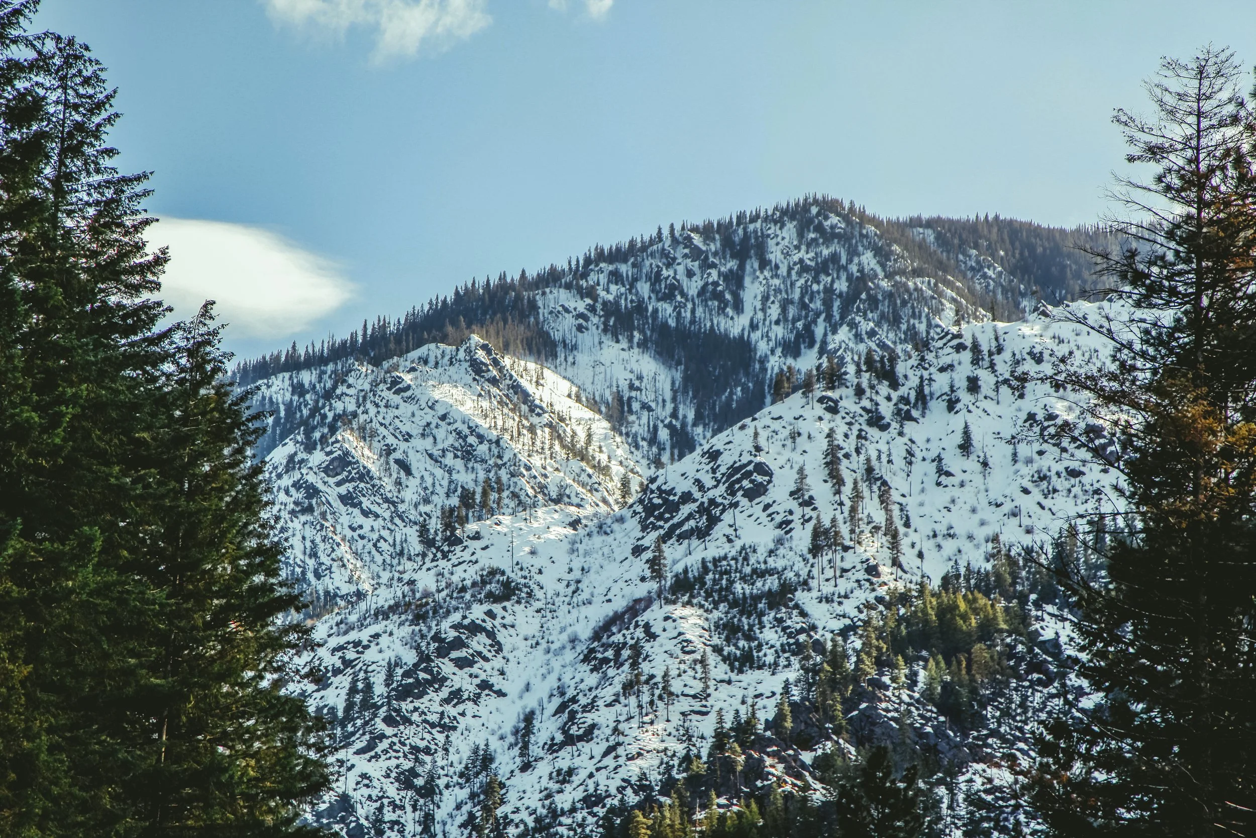 _MG_4306.jpg