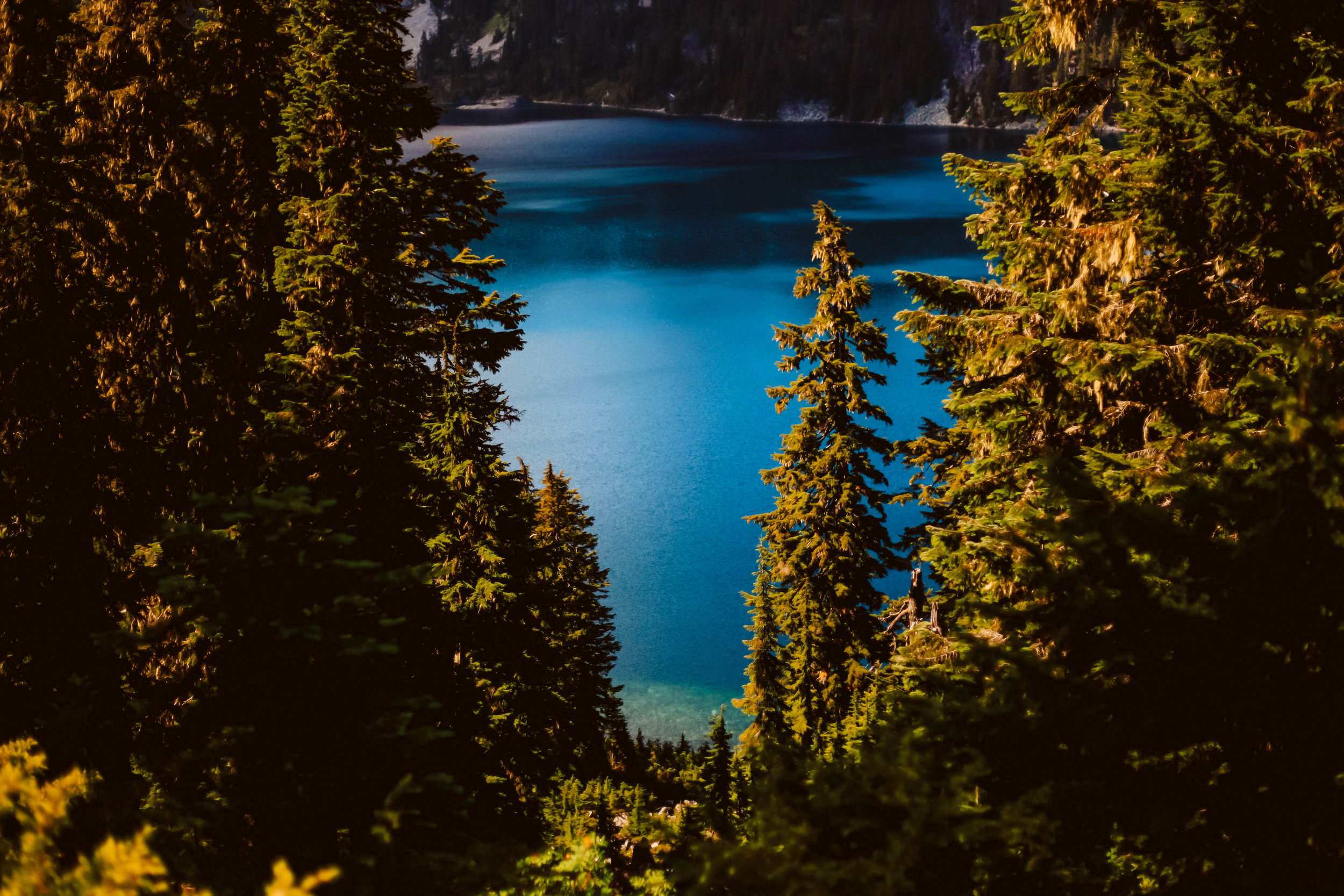 _MG_3123.jpg
