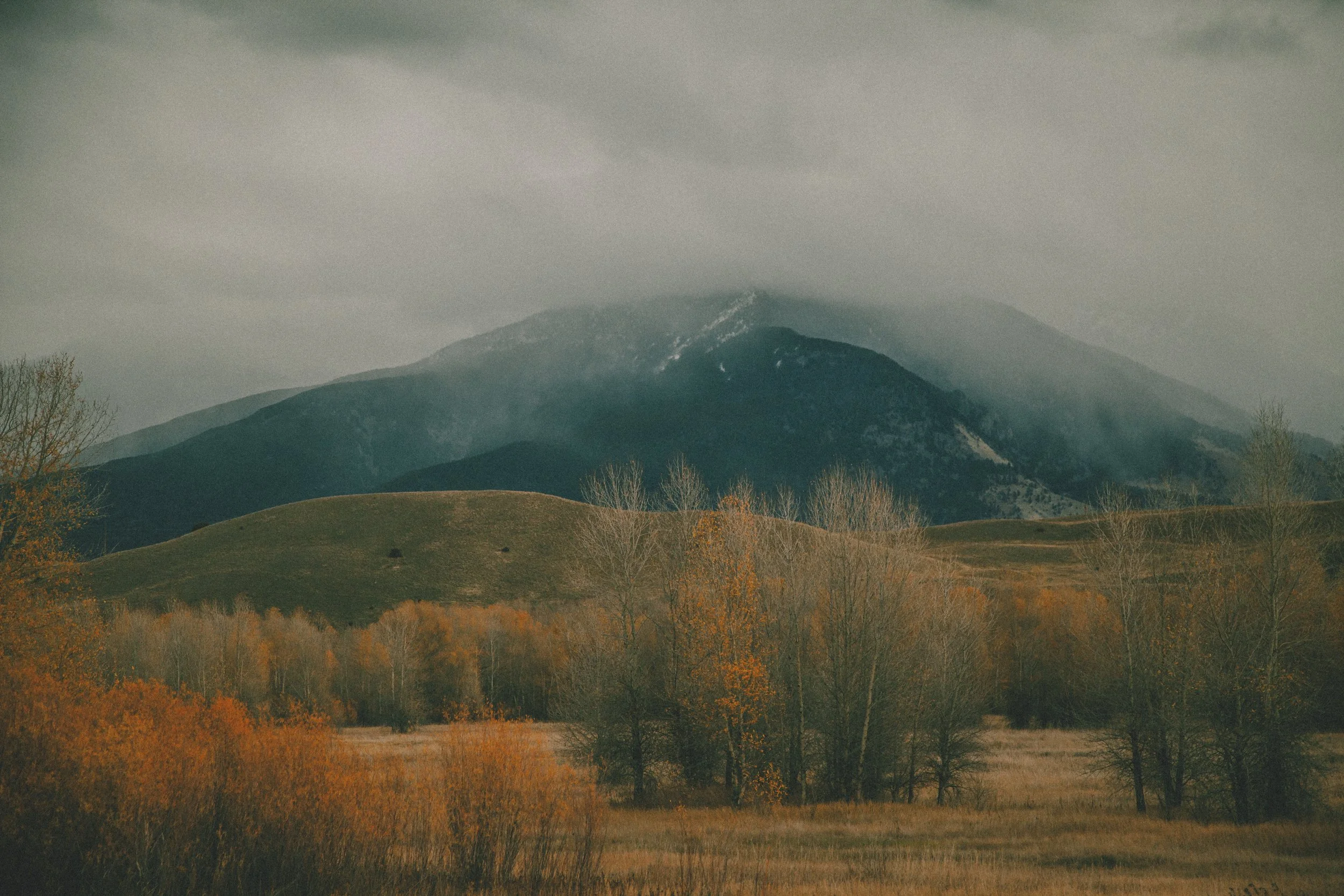_MG_5177.jpg