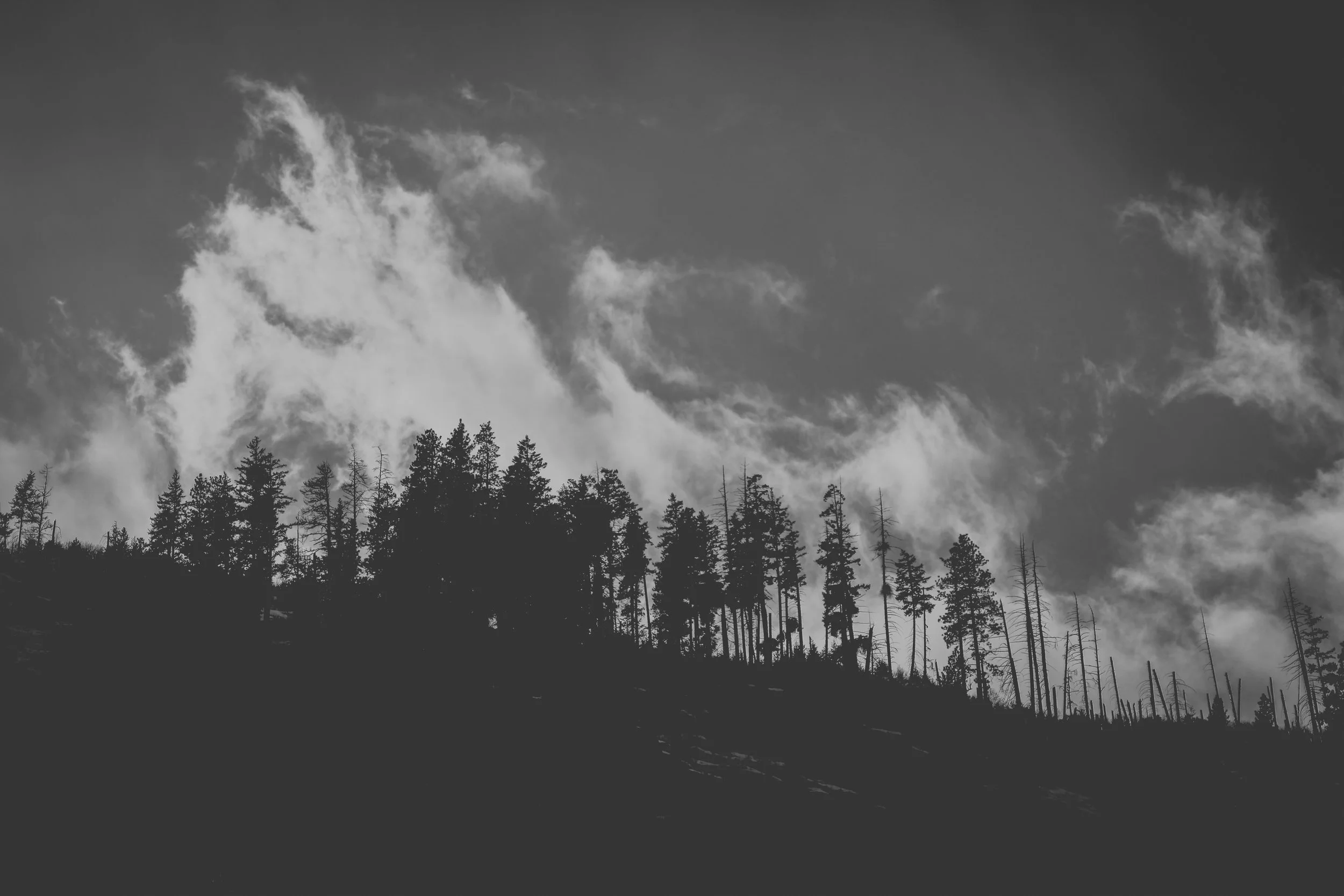_MG_4337.jpg