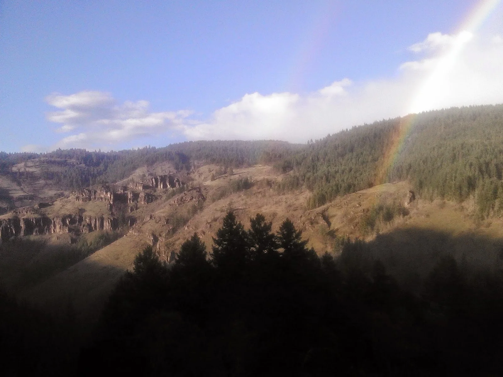 rainbows.jpg