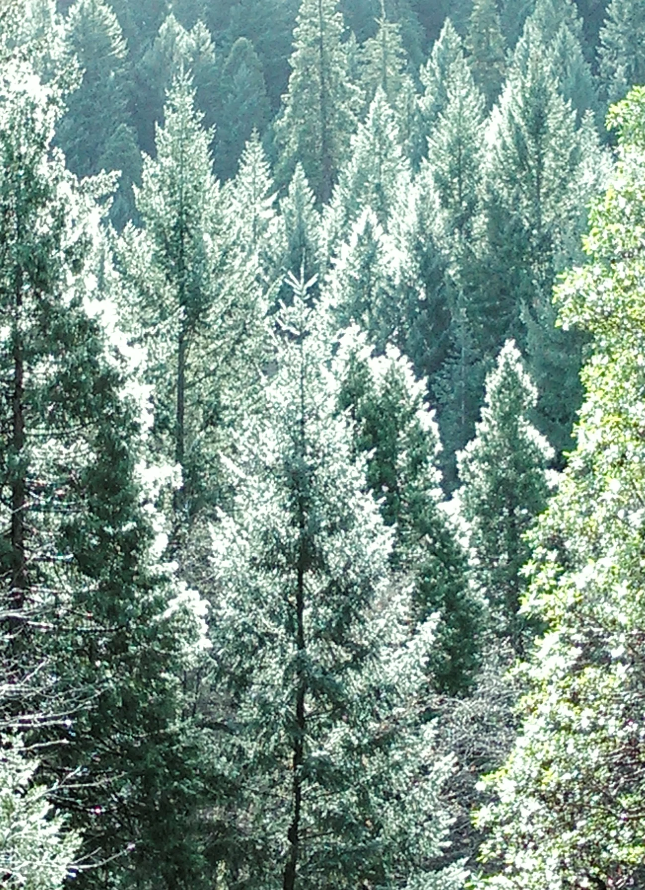 December 2014 005.jpg