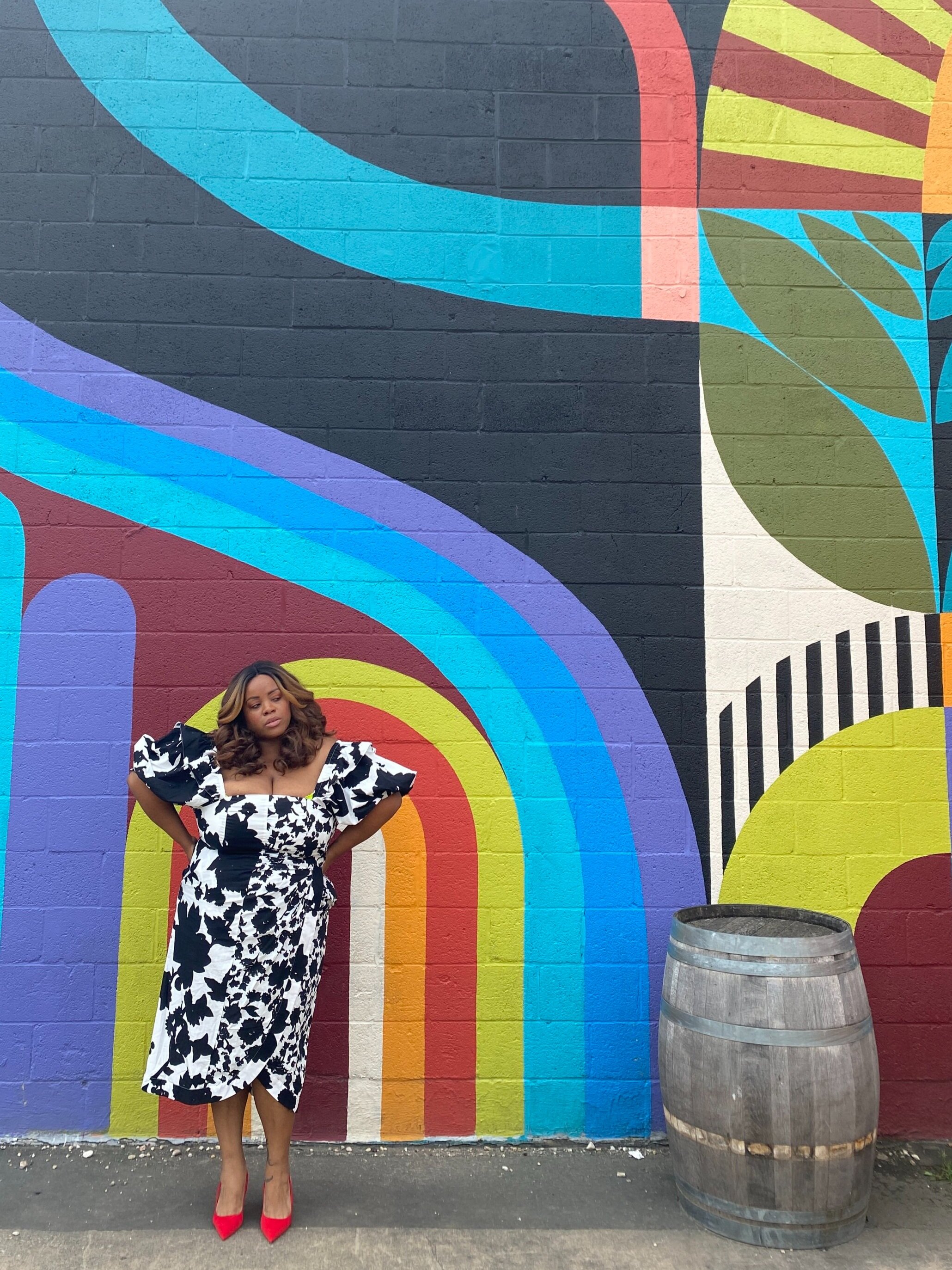 Christopher John Rogers Black and White Dress