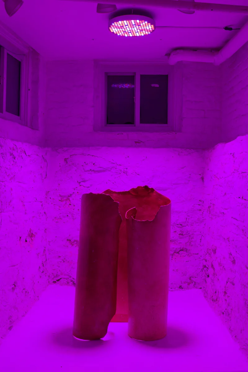 Rindon Johnson, Zaun , 2017 Leather, Vaseline, UV lamp