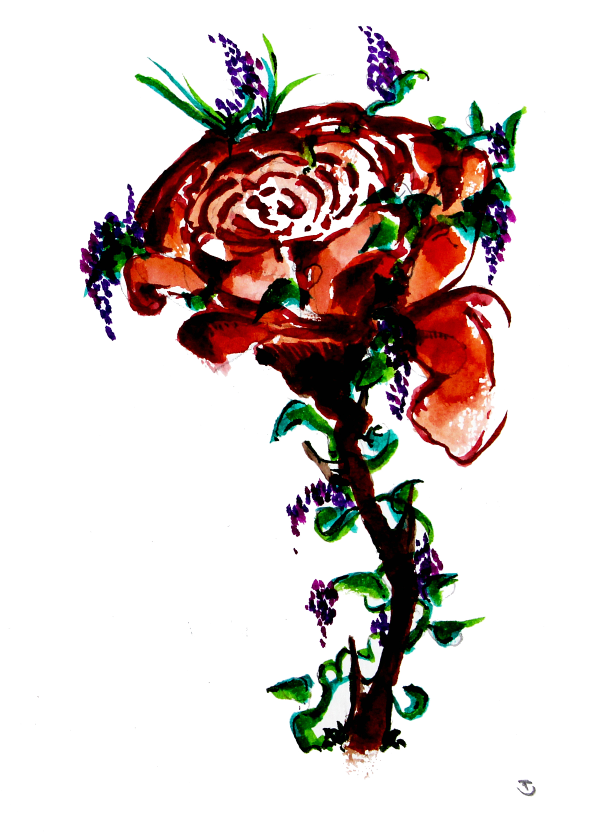 ROSE.jpg