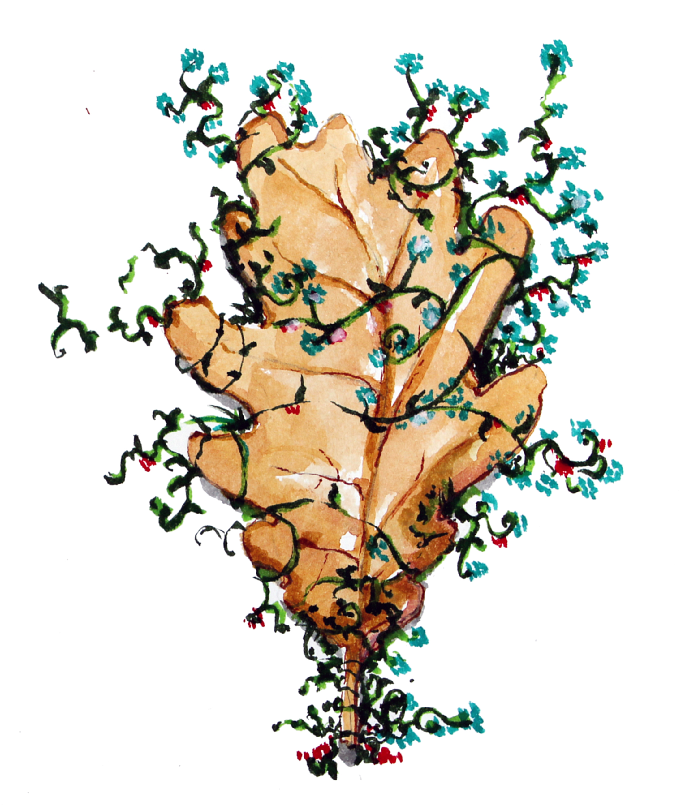 LEAF.jpg