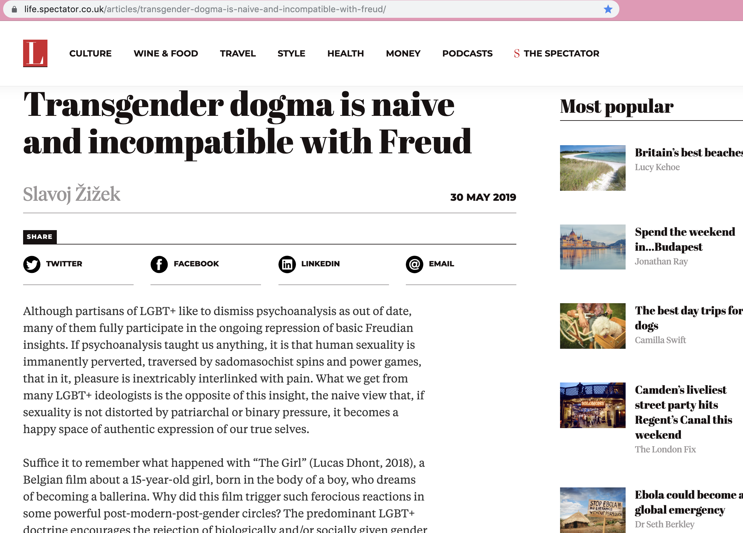 SPECTATOR 2019-08-09 at 8.04.02 pm.png
