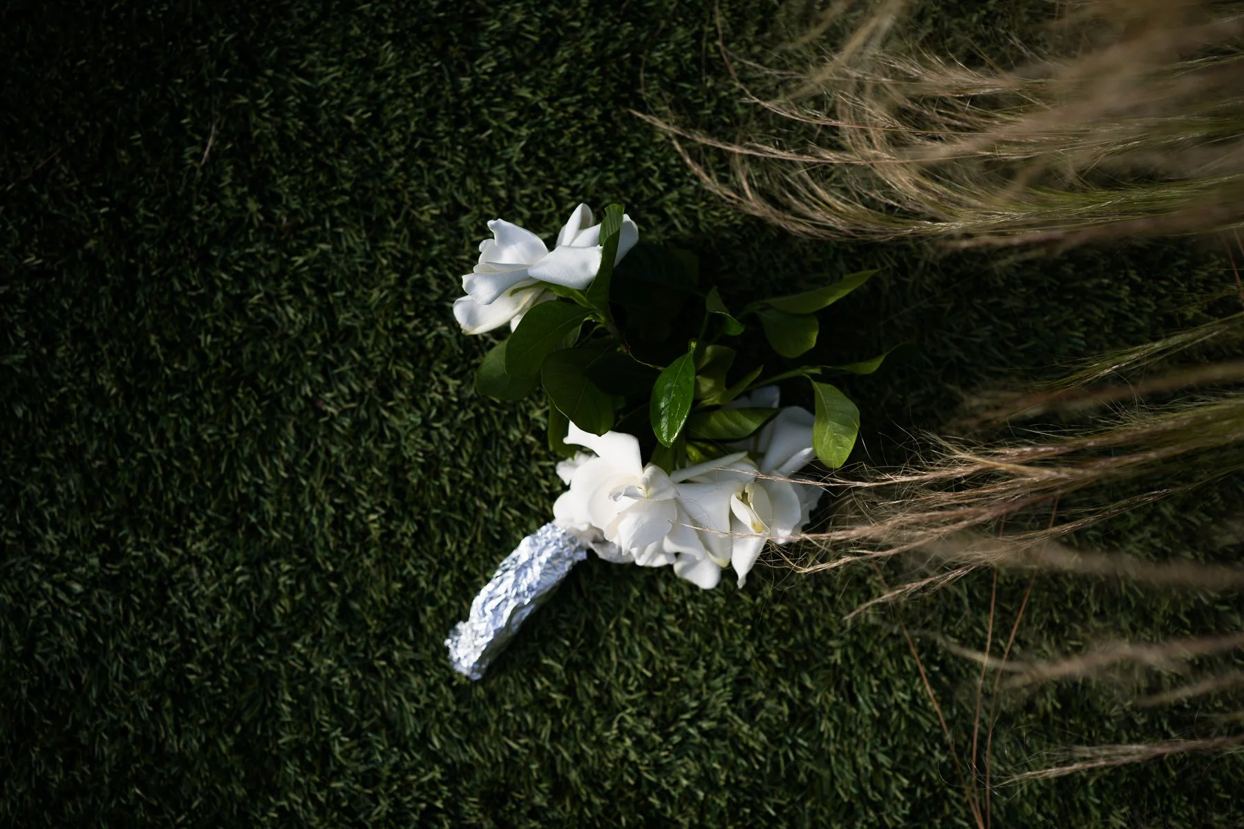 The Loving Litany of Who We Had Been