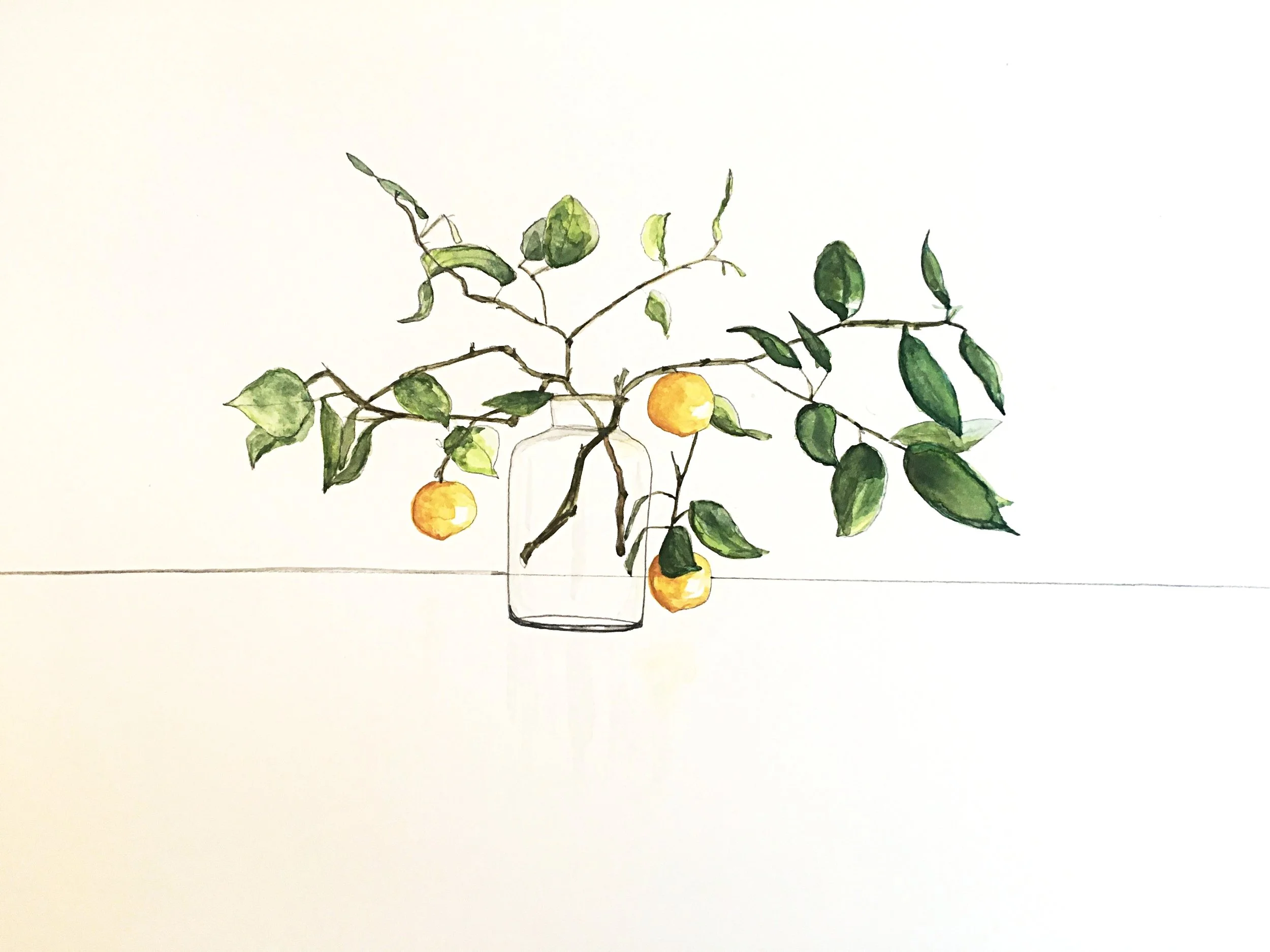 lemon tree 1.JPG