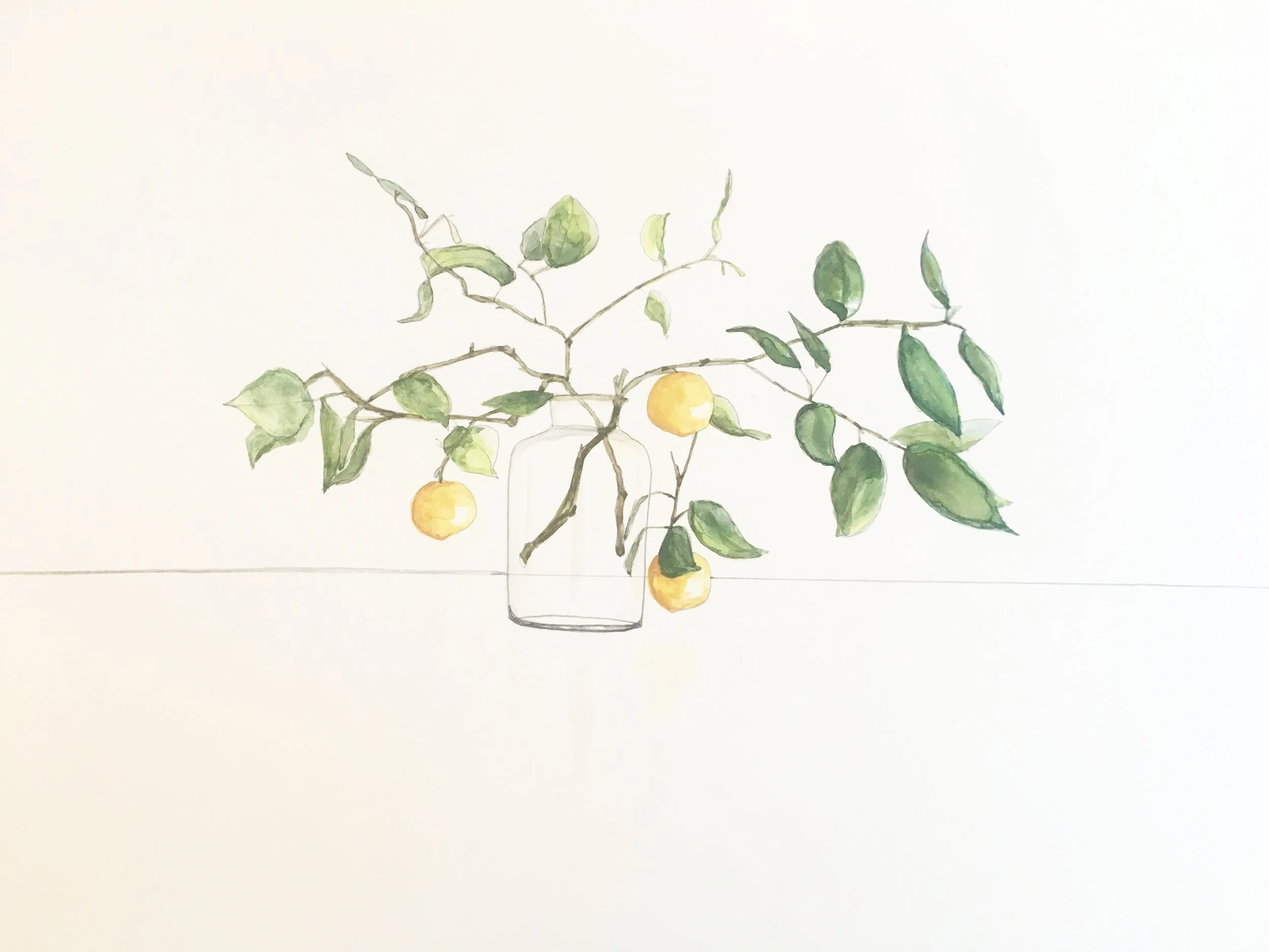 lemon tree 1.JPG