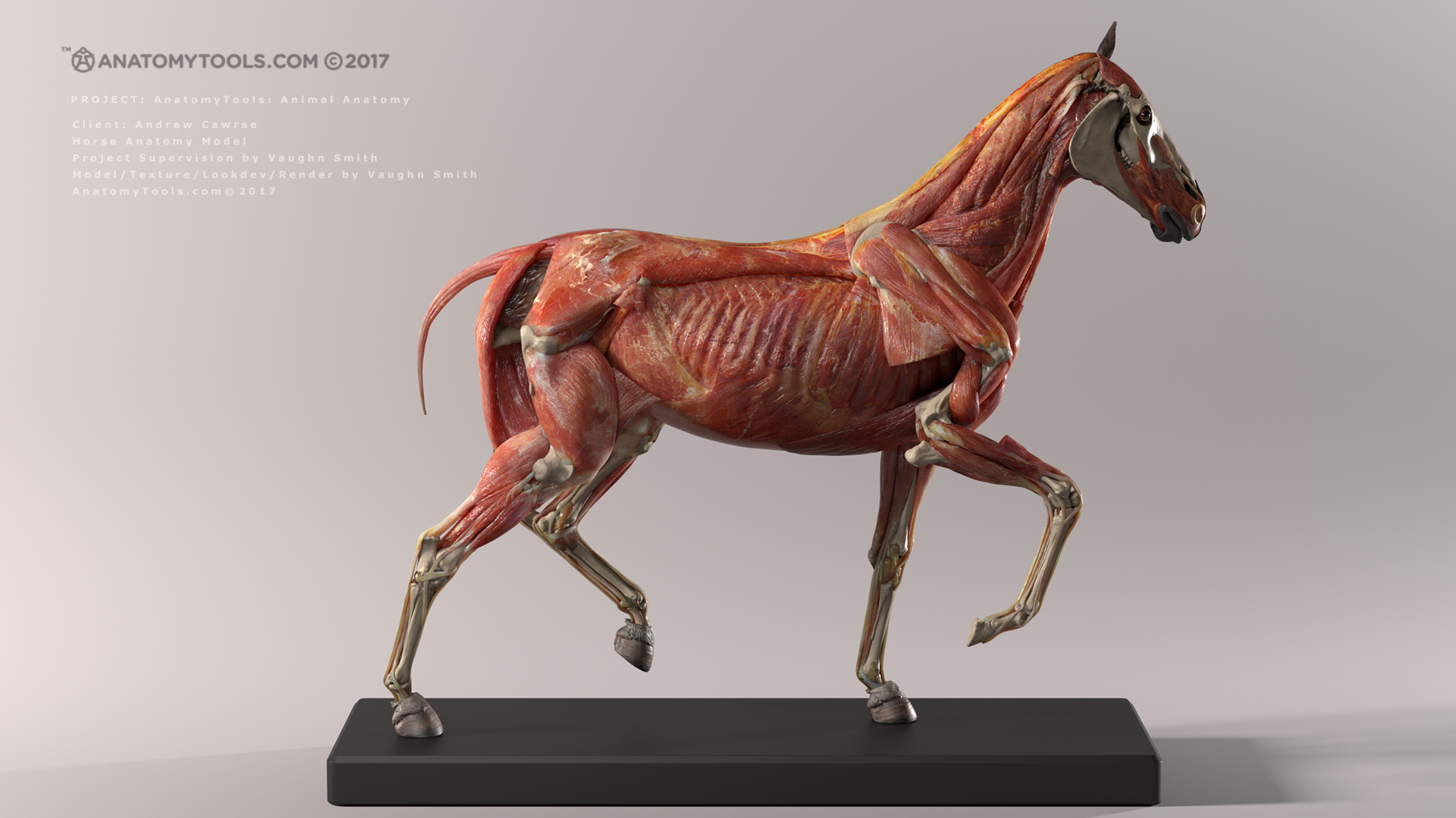 horse_v3_render_rvw_v01_withText_2K_WEBISTE.jpg