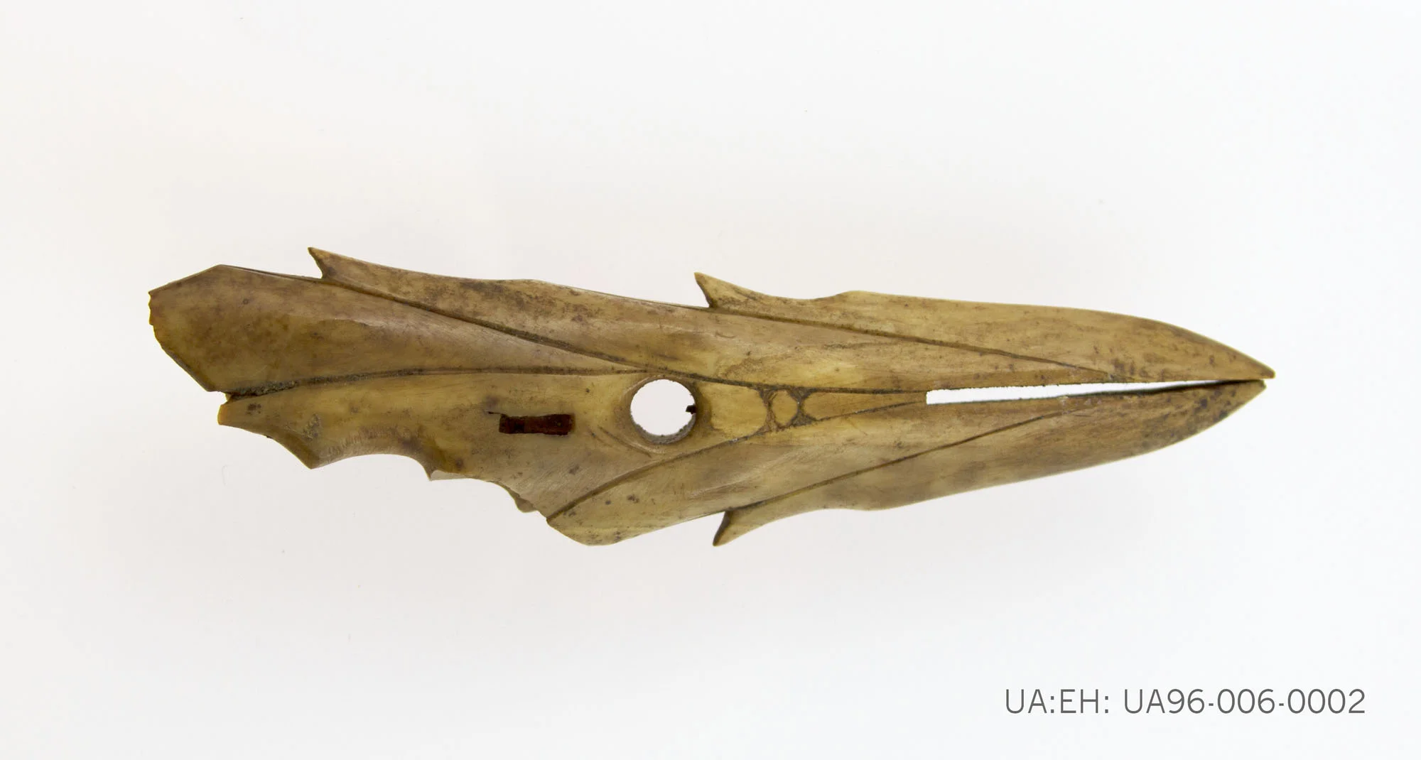 Ivory harpoon head