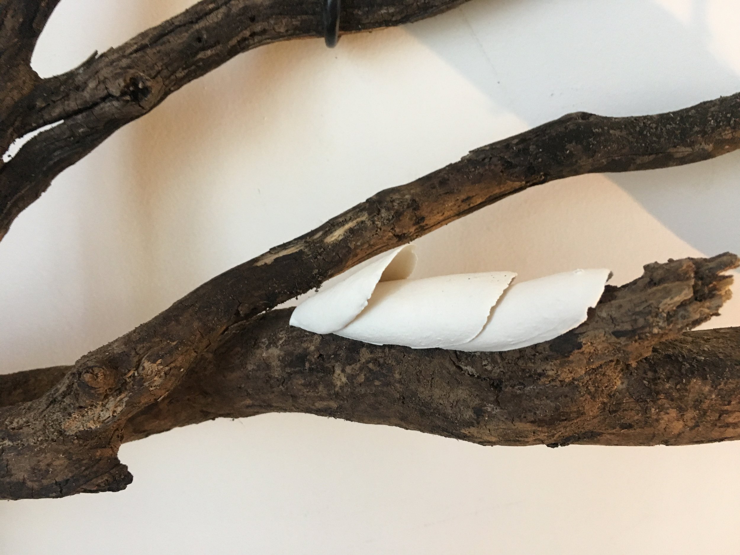 Detail of “Self Reflection”