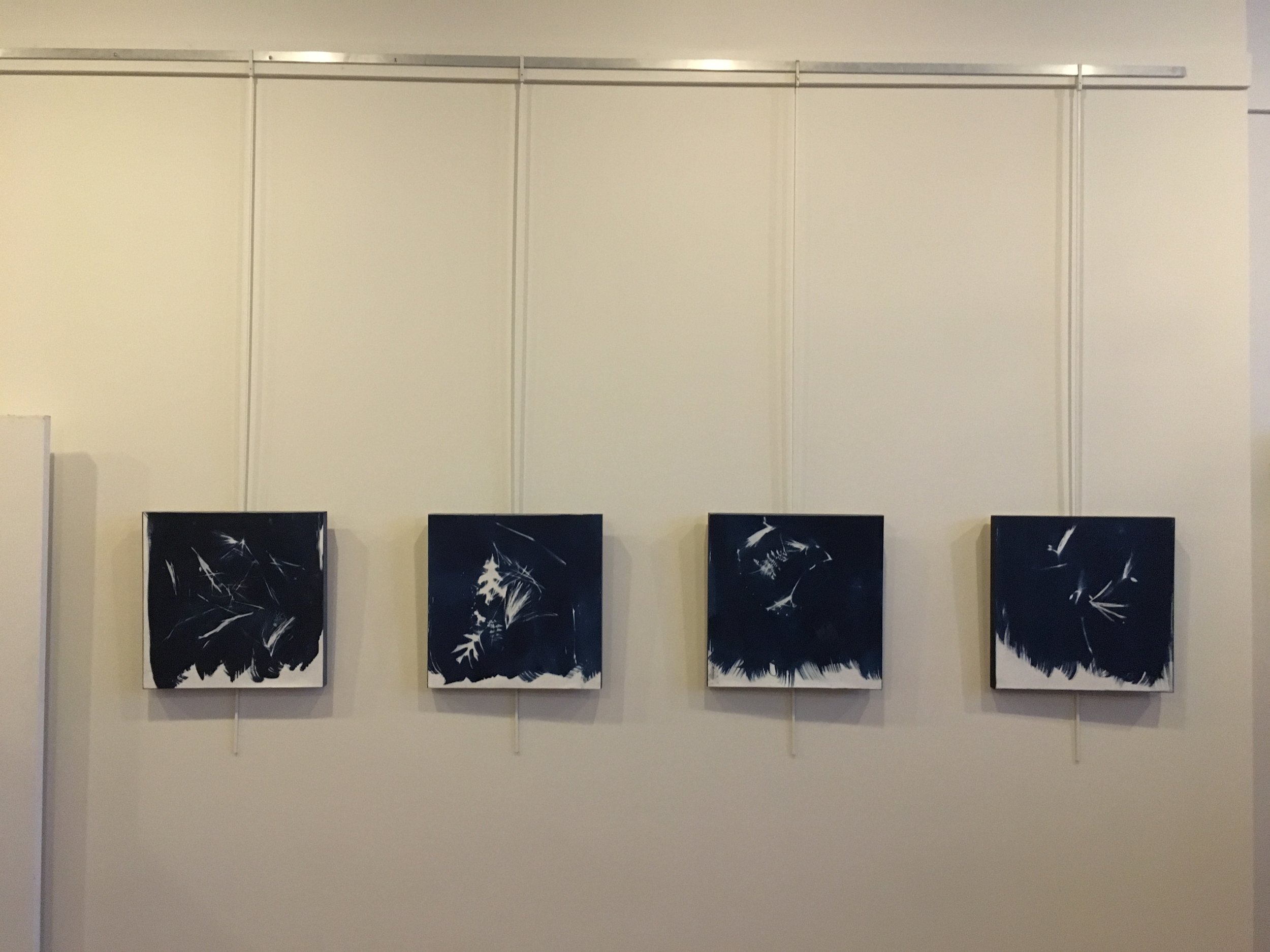 “King’s Gap Understory, Winter 1-4” Cyanotype monoprint. By Caroline Savage