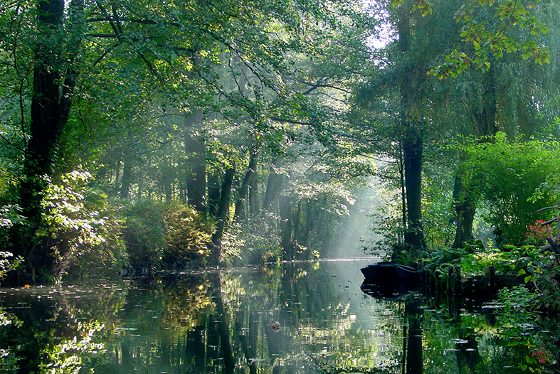 BH_Kaupen Im_Spreewald 14.jpg