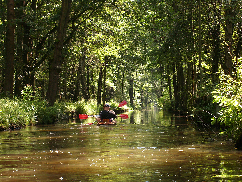 BH_Kaupen Im_Spreewald 01.jpg