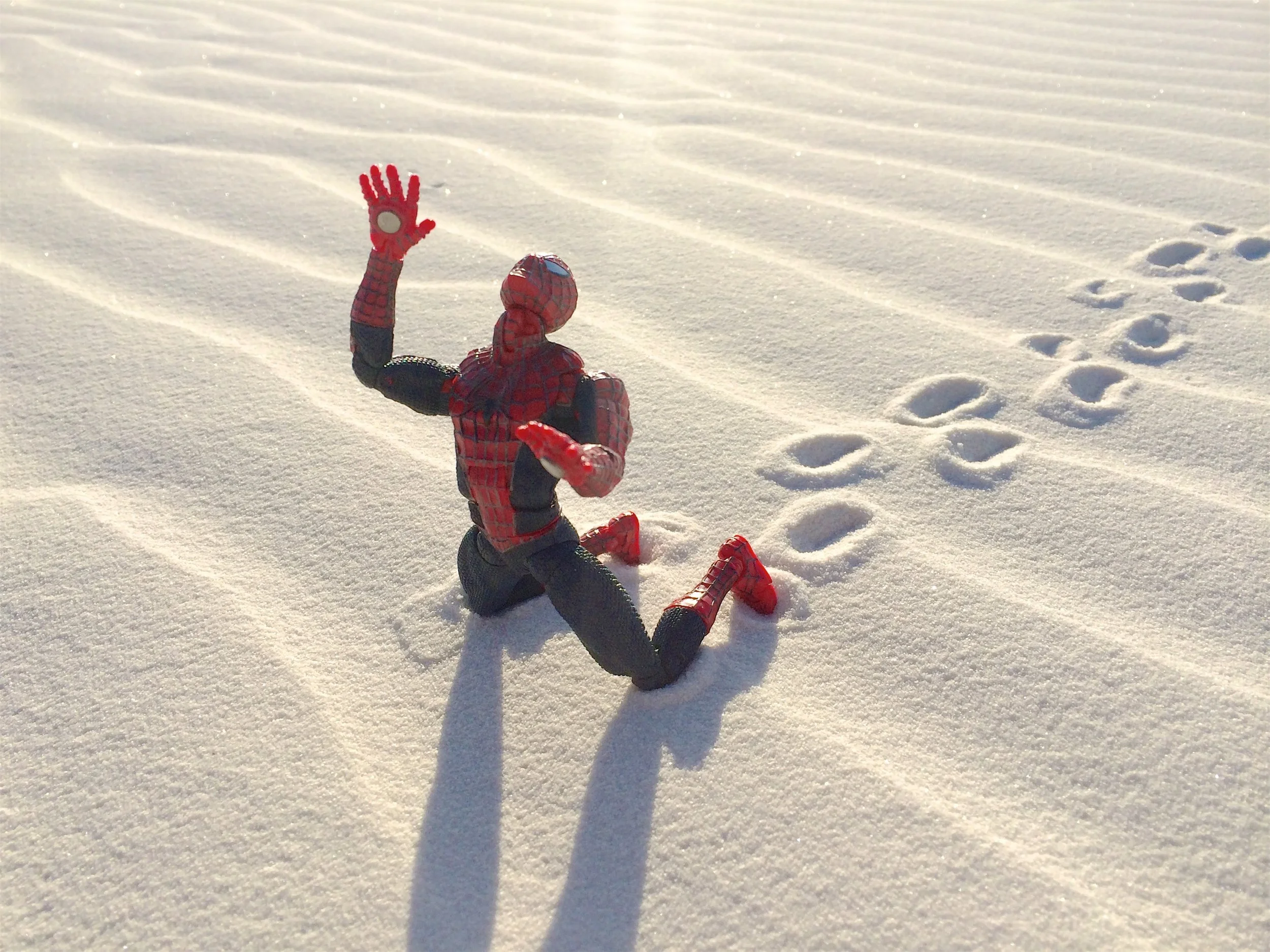 White Sands National Monument, New Mexico, USA