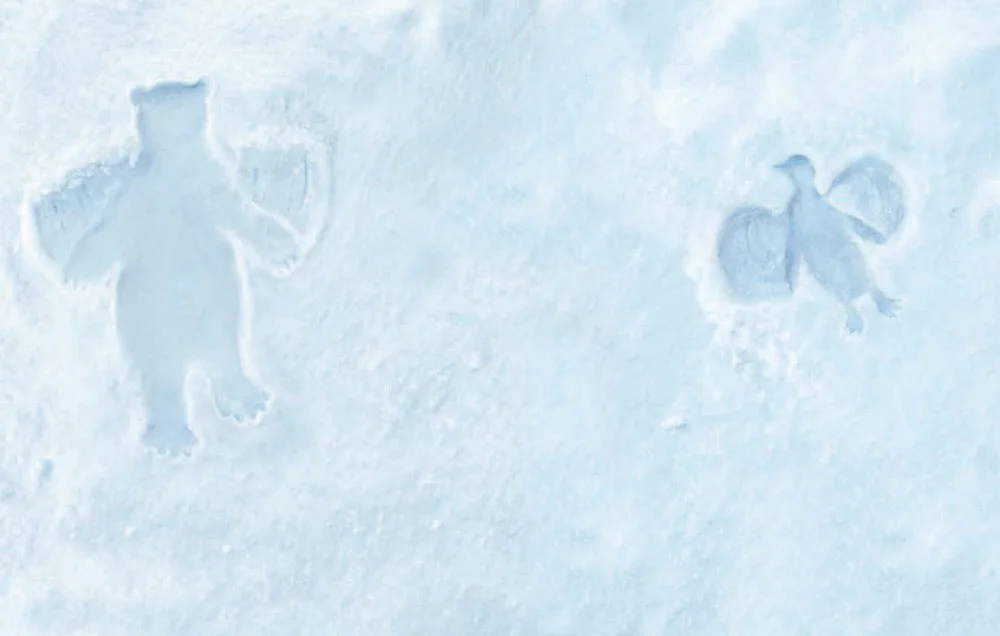 snow-angels-03.jpg