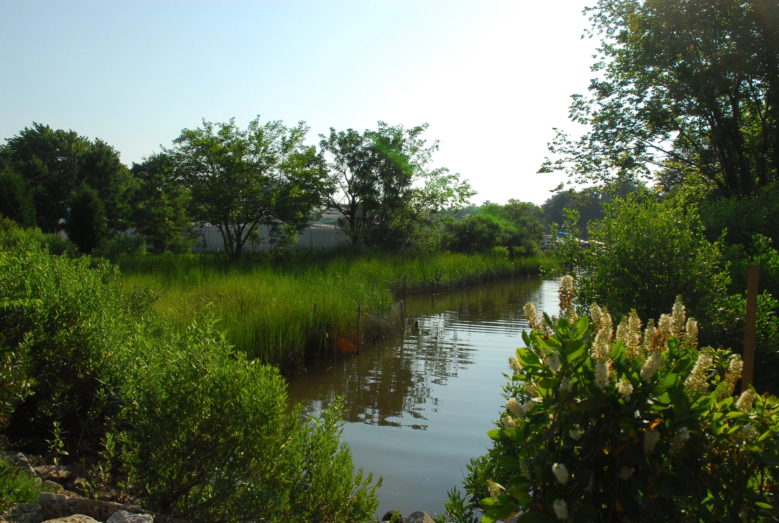 46th Street After June 9 2009.jpg