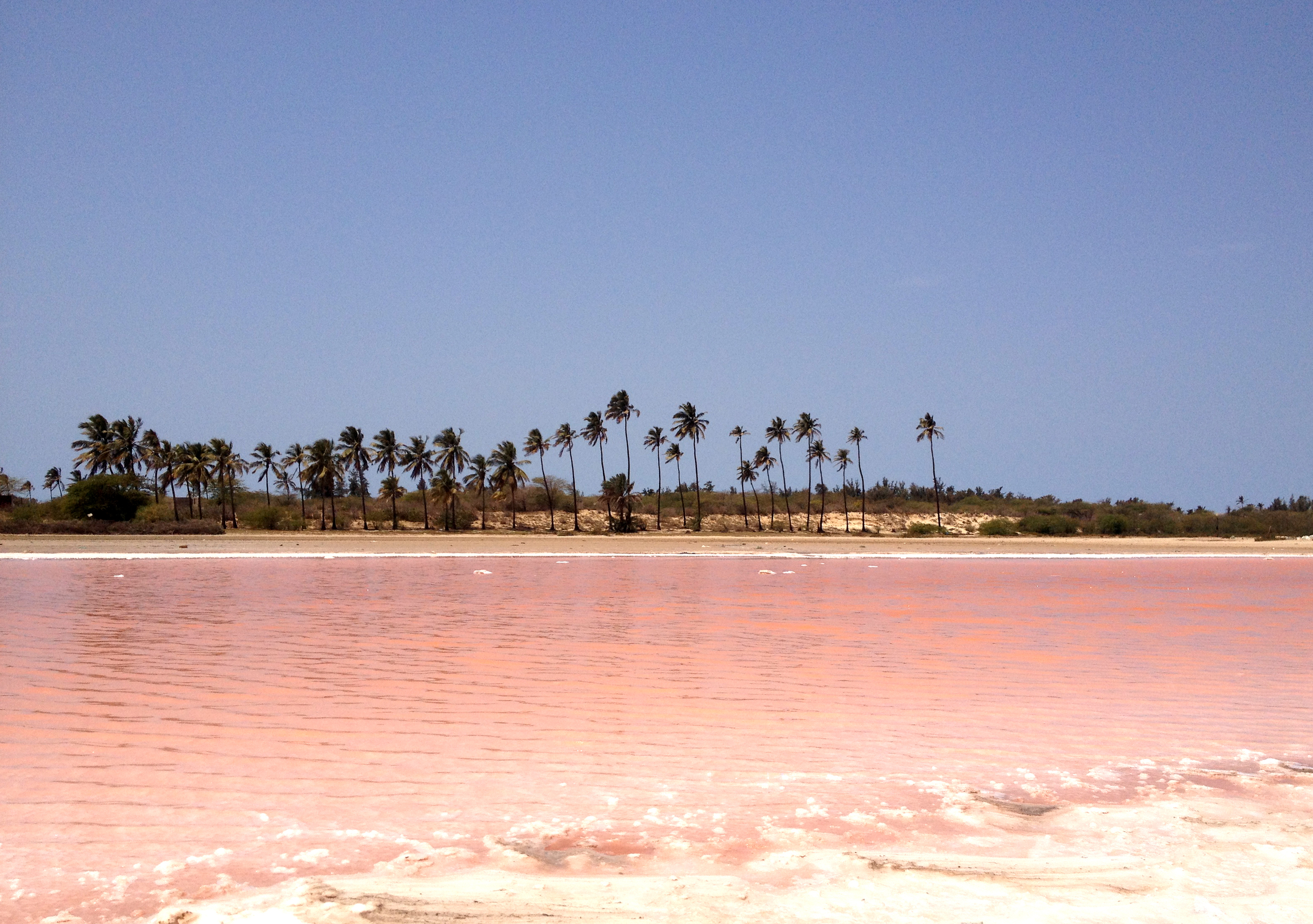 Amazing pink lake we found in our way to the Peulh Village, even people from Saint Louis don´t know about this incredible lake. There is also a big one very famous in Senegal.
