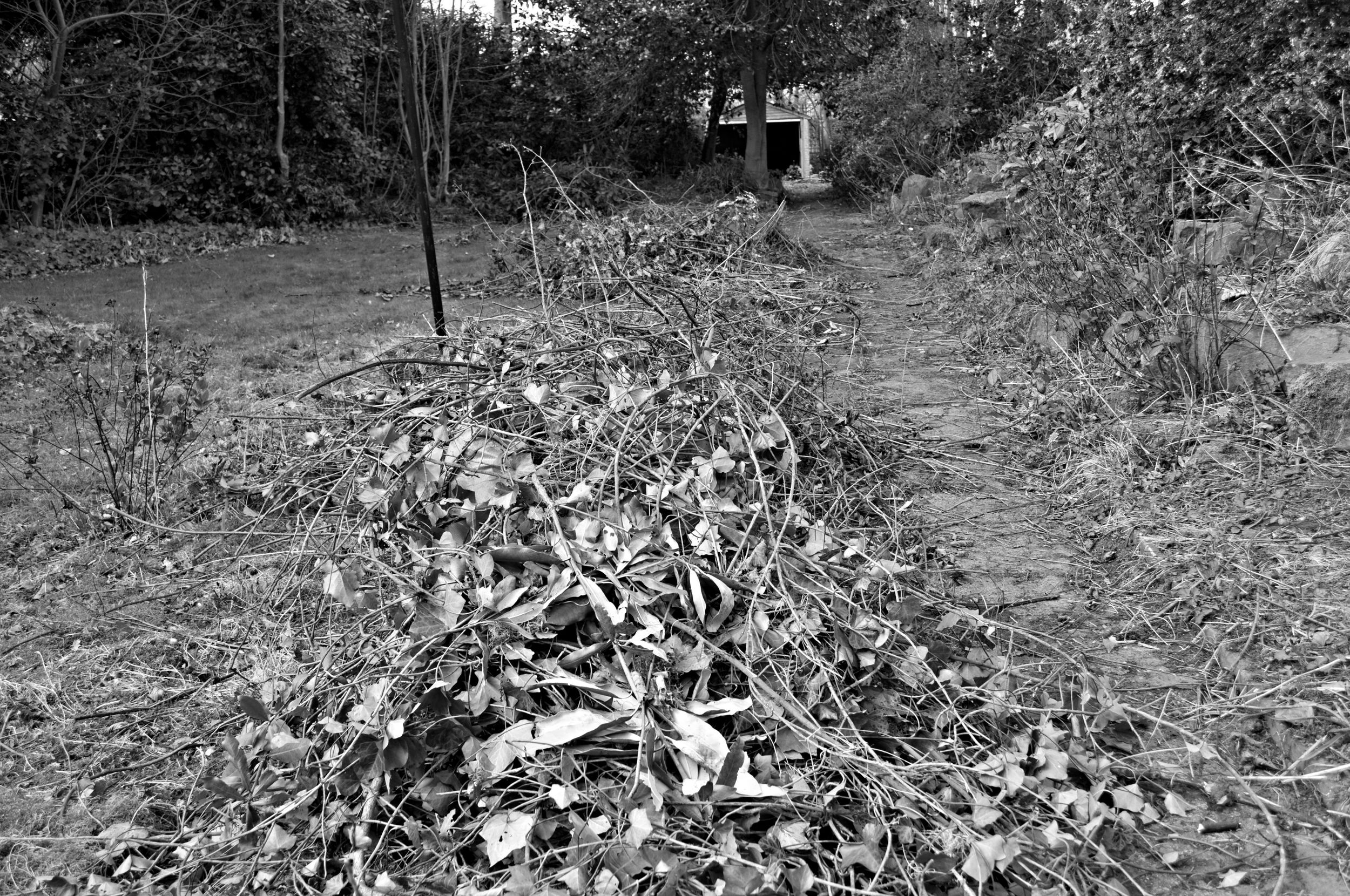 The Bramble Wars