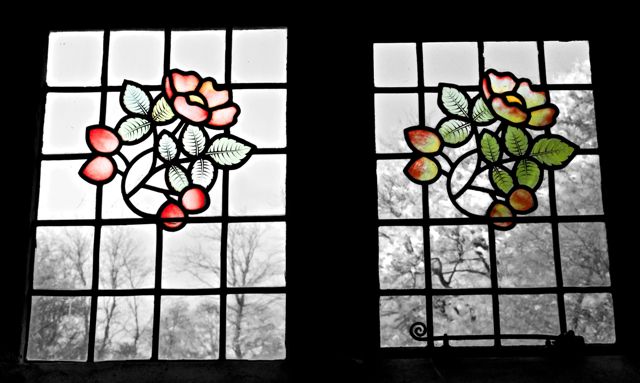 More briar roses
