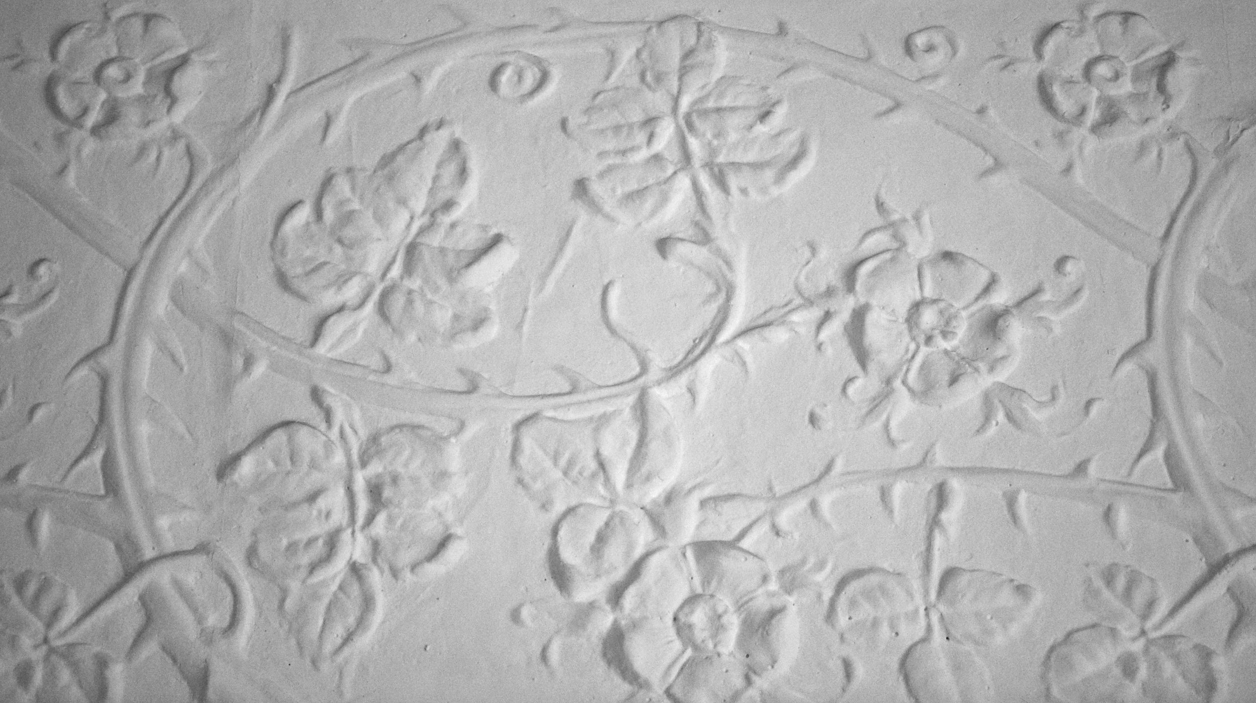 Briar roses tangled around the wall