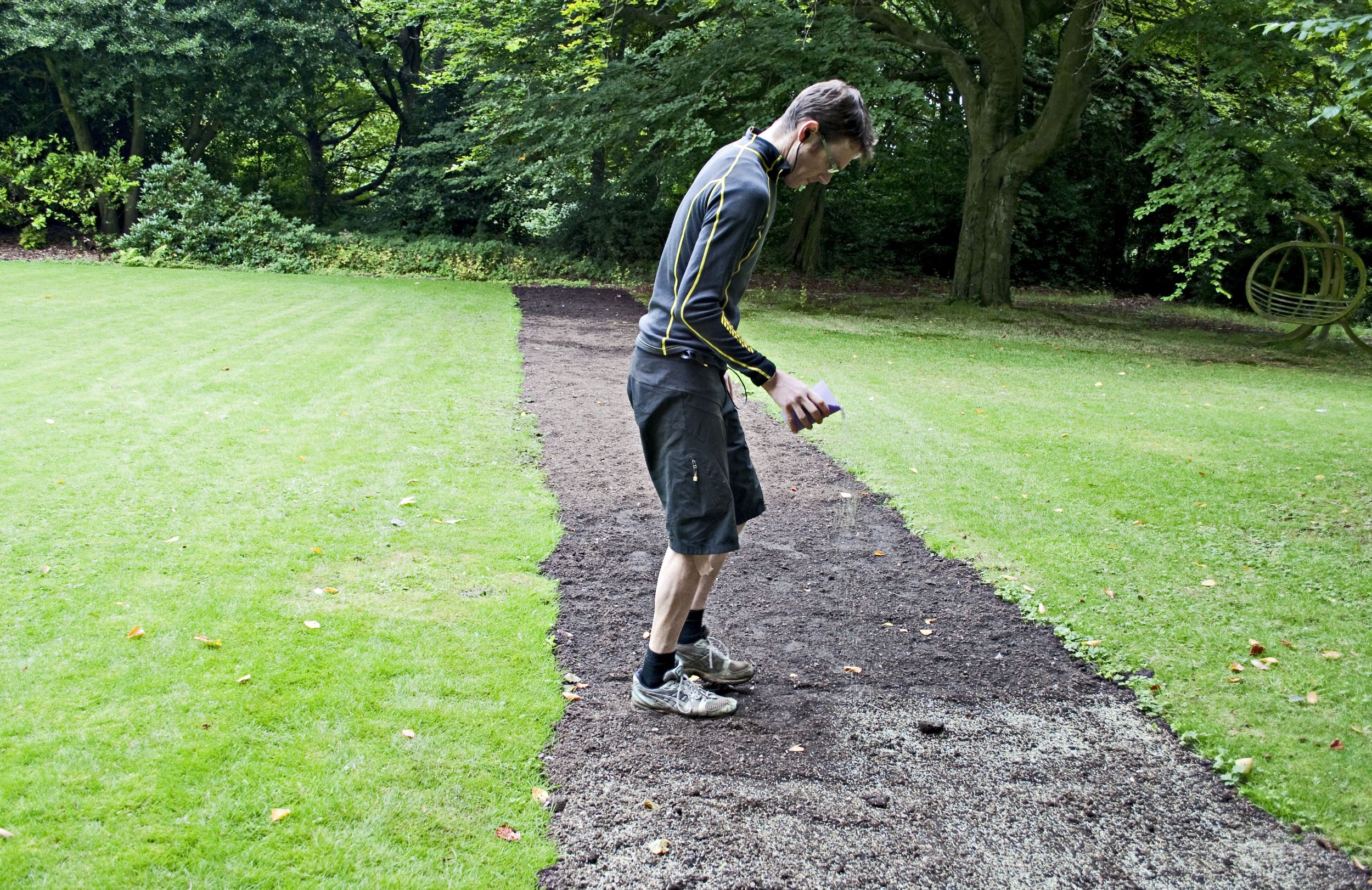 Seed ballet
