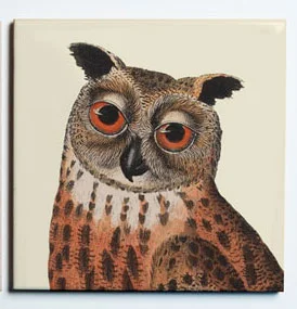 31001OWL1COASTER1.jpg