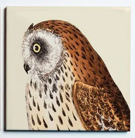 31002OWL2COASTER1.jpg