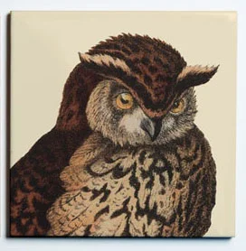 31004OWL4COASTER1.jpg
